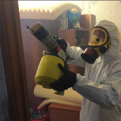 Уничтожение клопов в квартире. Молжаниновский район
